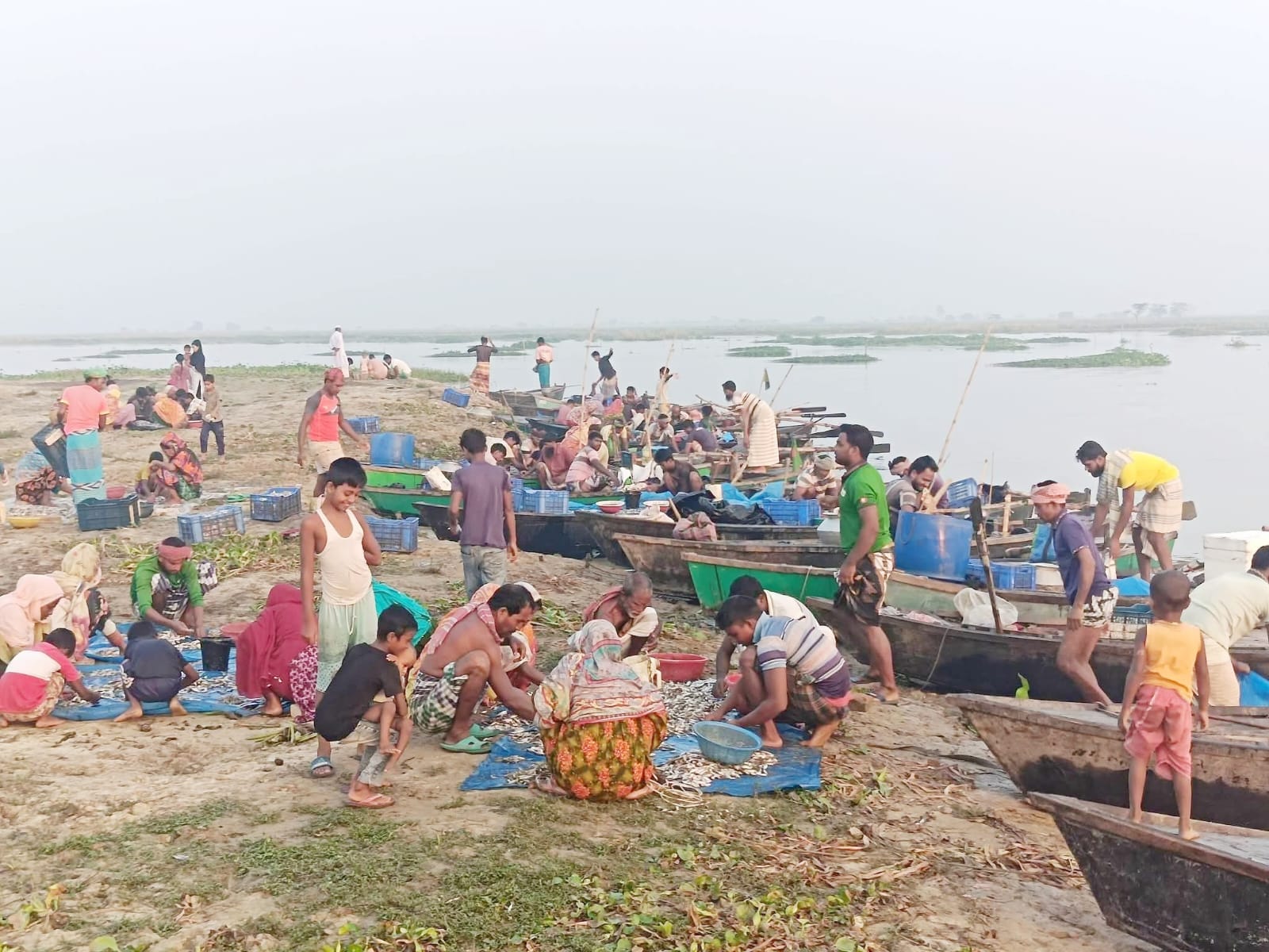 নিতপুর ঘাটে পূণর্ভবা নদীর দেশীয় মাছের জমজমাট বাজার