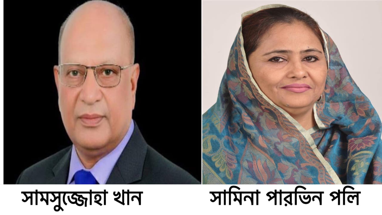 নওগাঁ ২ আসনে বিএনপি’র পরাজয়ের কারণ
