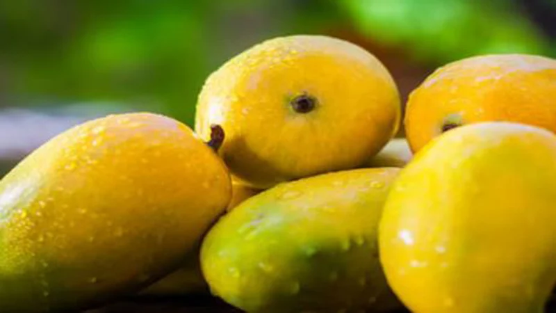 ডায়াবেটিস রোগীদের কী আম খাওয়া ঠিক?